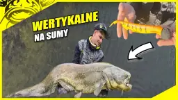 Przynęta na suma: Jak przechytrzyć "wąsatego króla"? Poradnik