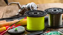 Żyłka czy plecionka na spinning? Porównanie i wybór dla Ciebie