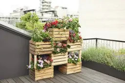 Jak zrobić kwietnik ze skrzynki po jabłkach i cieszyć się pięknem roślin