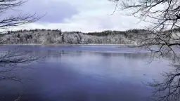 Zimowy krajobraz nad jeziorem, pokrytym lodem i śniegiem. Las na horyzoncie, gałęzie drzew w kadrze. Biały bór atrakcje zimą.