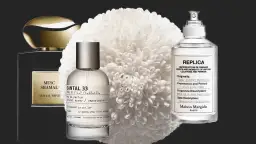 Moschus & Sandelholz: Die besten Parfums & ihre Wirkung