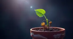 Co oznaczają uschnięte kwiaty doniczkowe we śnie - znaczenie i symbolika