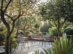 Jakie drzewo posadzić przy tarasie, by uniknąć problemów z korzeniami?