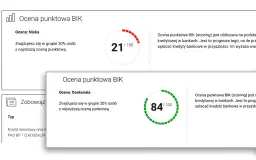 Jak działa BIK i co musisz wiedzieć o swojej historii kredytowej