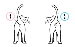 Jak rozpoznać płeć kota? Odległość i kształt zdradzają prawdę