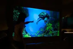 Krasiejów oceanarium: odkryj fascynujący świat prehistorycznych stworzeń