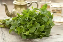 Skuteczne herbaty na mdłości, które naprawdę pomagają w nudnościach