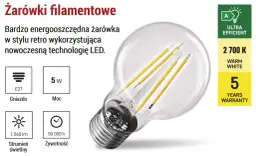 Energooszczędna żarówka filamentowa LED w stylu retro, model A60. Ma gwint E27, moc 5W, strumień świetlny 1060 lm i żywotność 50 000 h.