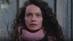 Film zranione ptaki ile odcinków w Polsce - zaskakujące różnice w emisji