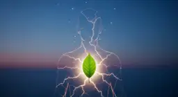 Magnesium und Vitamin D Mangel Symptome: Warnzeichen erkennen und handeln