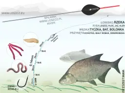 Wędka Feeder: Na Jakie Ryby i Gdzie Łowić? Kompletny Przewodnik