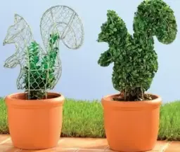 Rzeźby z roślin: jak stworzyć piękne topiary w swoim ogrodzie