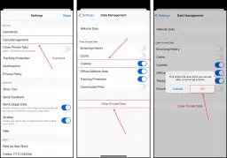 Jak usunąć ciasteczka z iPhone'a? Kompletny przewodnik