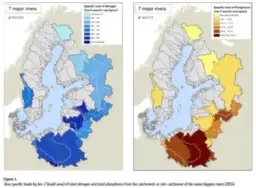 Czy Bałtyk jest czysty? Odkryj prawdę o jakości wody i bezpieczeństwie
