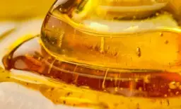 Miód manuka na rany jak stosować – skuteczne metody leczenia ran