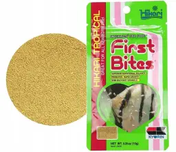 Czym karmić narybek skalara, aby zapewnić mu zdrowy rozwój?