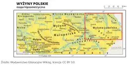 Co uprawia się na wyżynie lubelskiej? Odkryj zaskakujące rośliny