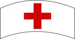 Stwórz idealny znak pielęgniarki szkolnej: Poradnik dla każdego