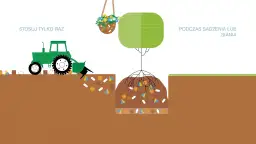 Co uprawiać na piaszczystej ziemi, aby uzyskać najlepsze plony?