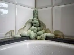 Skuteczne sposoby na zabezpieczenie fug pod prysznicem przed pleśnią