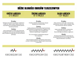 Krótkołańcuchowe kwasy tłuszczowe: 5 korzyści dla zdrowia