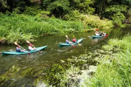 Lubuskie: Spływy kajakowe - Trasy, Ceny i Poradnik