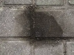 Stare plamy z oleju na kostce brukowej tworzą ciemny, rozlany kształt, świadcząc o dawnych wyciekach.