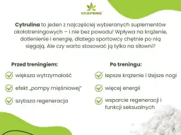Cytrulina przed czy po treningu? Maksymalizuj pompę i wydajność!