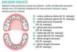 Kiedy pierwsze zęby u niemowlaka? Odkryj, co warto wiedzieć