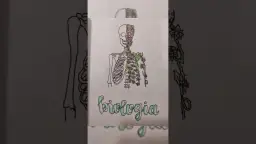 Jak ozdobić zeszyt do biologii, aby był wyjątkowy i inspirujący