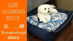 Samodzielne legowisko dla psa z poduszki? Prosty poradnik DIY!