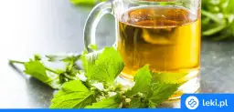 Zioła na nerki: Jaka herbata jest najlepsza? Poradnik eksperta