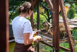 Najlepsze atrakcje w Rumi, które musisz zobaczyć z rodziną