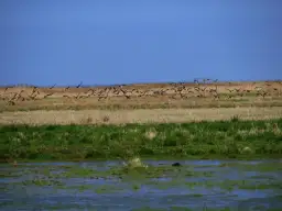 Rezerwat Przyrody Beka - odkryj piękno natury i bioróżnorodność