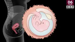 Ciąża 6 tydzień objawy: co możesz czuć i jak sobie z tym radzić