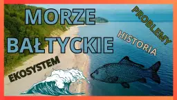Co pływa w Bałtyku? Odkryj tajemnice ryb i morskiej fauny