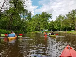 Gdzie na kajaki Śląskie? Przewodnik po rzekach i trasach dla każdego