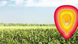 Kukurydza gdzie jest uprawiana? Odkryj kluczowe obszary i warunki