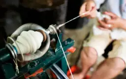 Hodowla jedwabników jak zacząć: kluczowe kroki i wyzwania