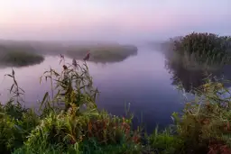 Narew: Miasta, historia i sekrety Polskiej Amazonii