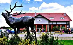 Milicz gdzie zjeść - odkryj najlepsze restauracje i smaki regionu