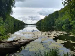 Jezioro Wieleńskie: ukryte skarby natury i najlepsze atrakcje