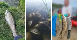 Jezioro Farskie: problemy ekologiczne i wędkowanie w Przyszowicach