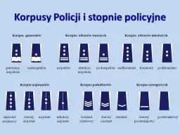 Stopnie w polskiej policji: Jak wygląda hierarchia? Pełna lista
