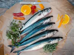 Czym się żywi makrela? Odkryj jej zaskakującą dietę morską