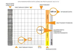 Płot na sarny: Jaka wysokość zapewni 100% ochronę ogrodu?