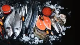 Czy pies może jeść śledzie? Sprawdź, co musisz wiedzieć o rybach dla psów