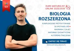 Ile godzin biologii rozszerzonej w liceum? Sprawdź, co musisz wiedzieć