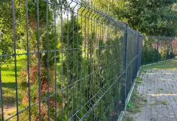 Co posadzić przy ogrodzeniu z siatki, aby zyskać piękny i prywatny ogród