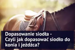 Twój koń cierpi? Jak prawidłowo dopasować siodło krok po kroku